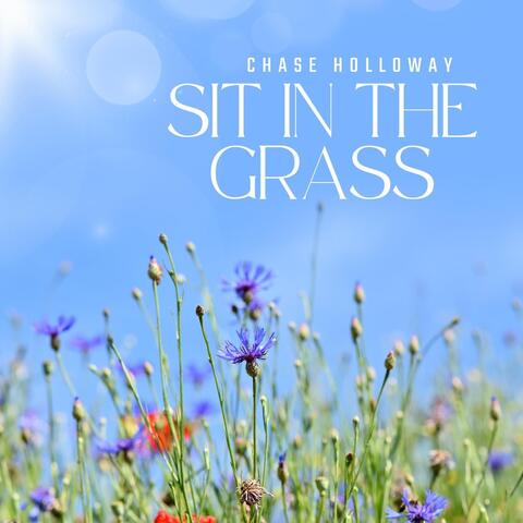 Sit In The Grass album art