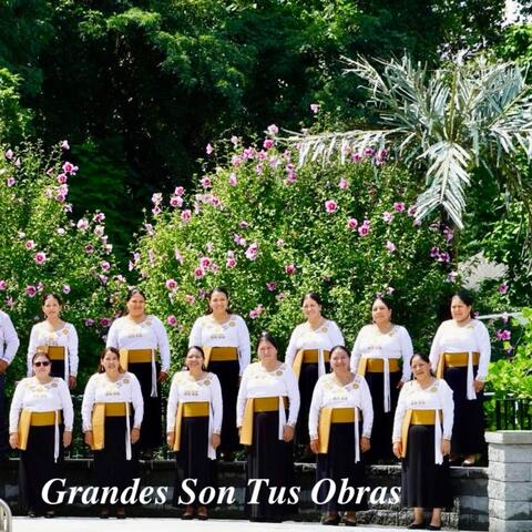 Grandes Son Tus Obras album art