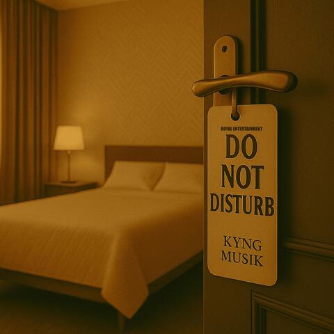 Do Not Disturb album art