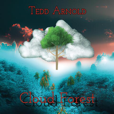 Cloud Forest album art
