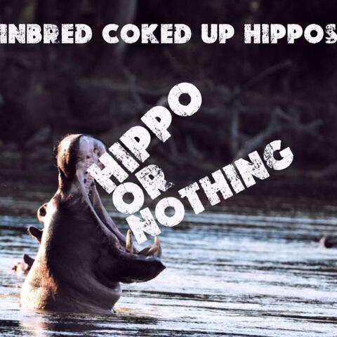 Hippo or Nothing album art