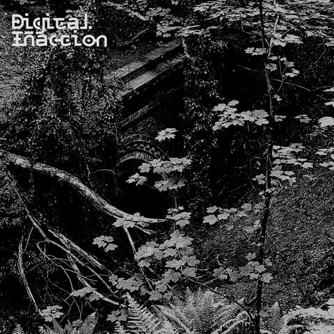 Digital Inaction 1 album art