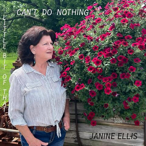 Can't Do Nothing album art