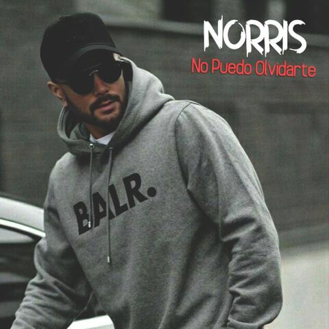 No Puedo Olvidarte album art