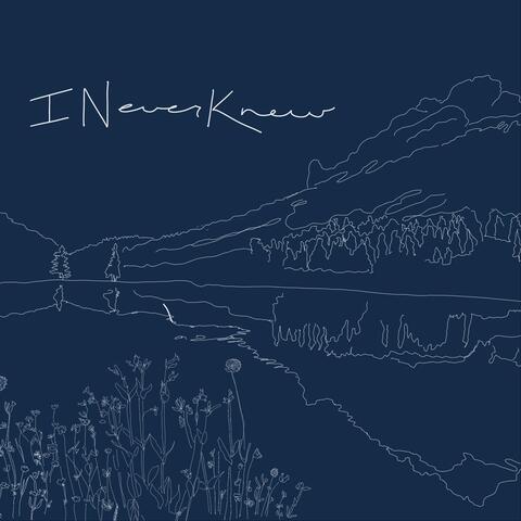 I Never Knew album art