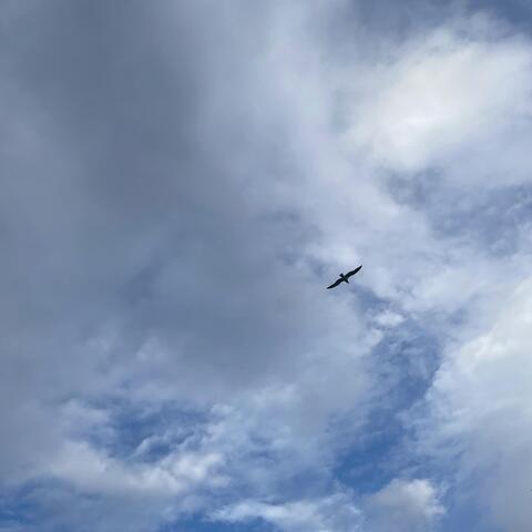 Wednesday Evening album art