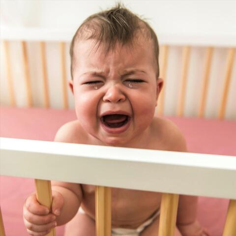 Desperate Miniature Humans album art