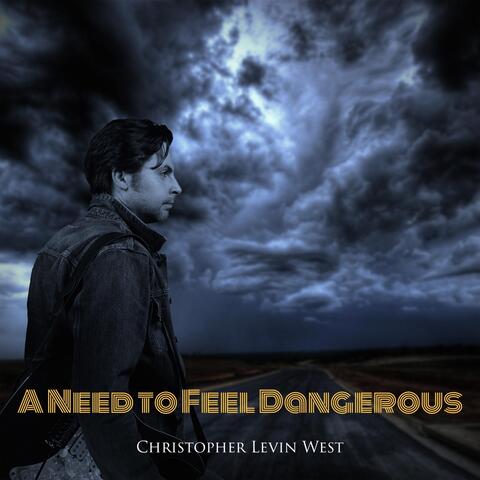 A Need to Feel Dangerous album art