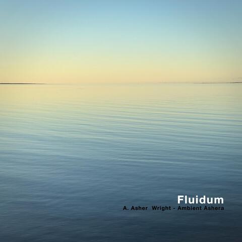 Fluidum album art