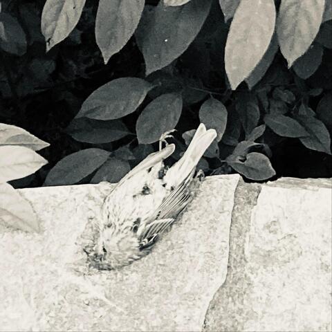 The Fallen Demos album art