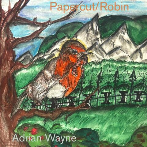 Papercut / Robin album art