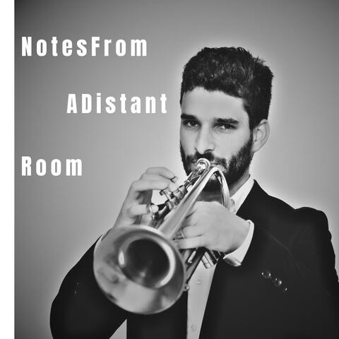 Notes from a Distant Room album art
