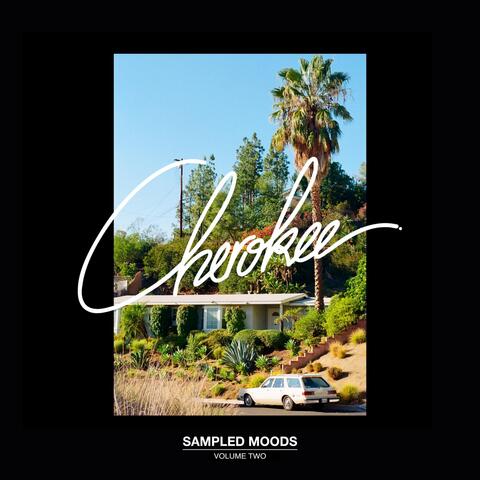 Sampled Moods Vol. 2 album art
