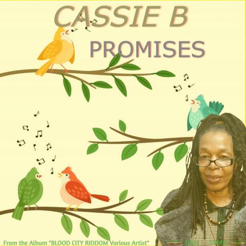 Promisis album art