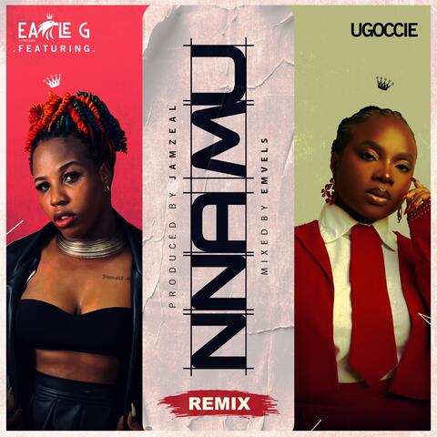 Nnamu (Alternate Mix) [feat. Ugoccie] album art