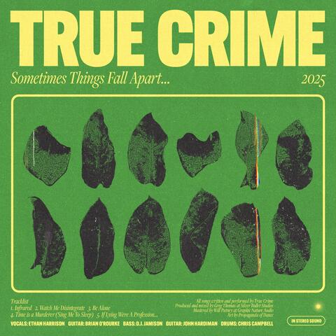 Sometimes Things Fall Apart album art