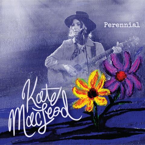 Perennial (Live) album art