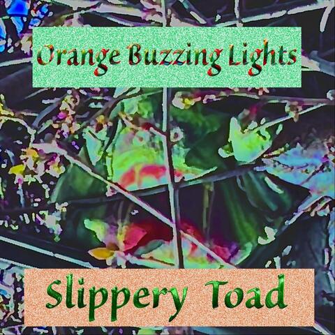 Slippery Toad album art