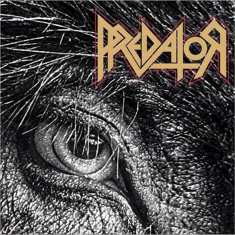 Predator album art