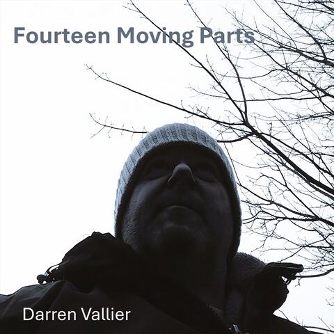 Fourteen Moving Parts album art