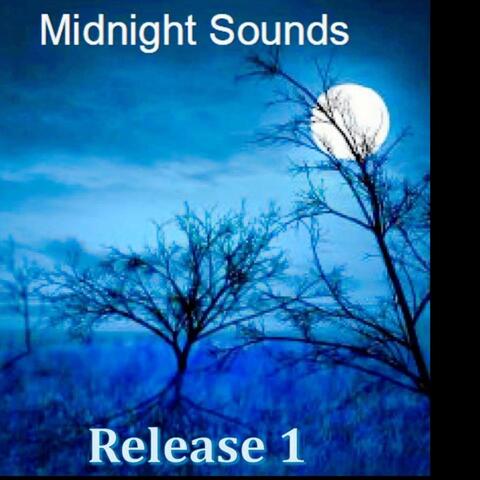 Midnight Sounds Release 1 album art