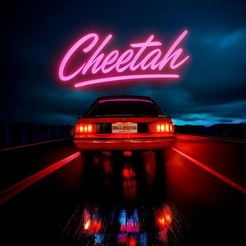 Magia Sexual album art