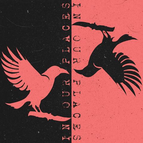 In Our Places (Murder Version) album art