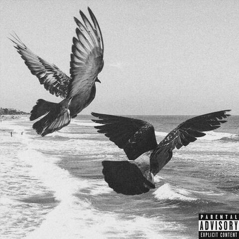 South San Diego album art