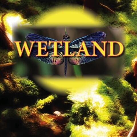 Wetland album art