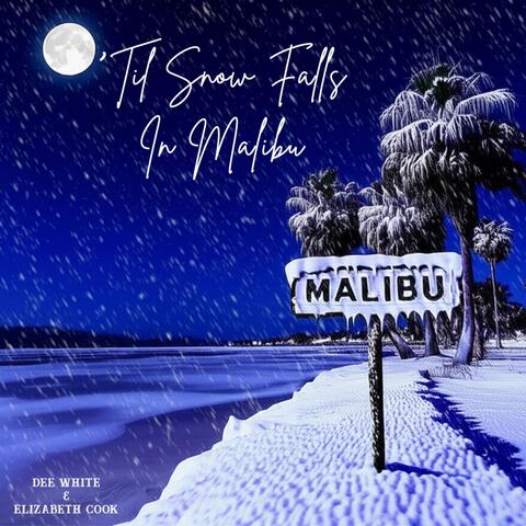 Til Snow Falls In Malibu (feat. Elizabeth Cook) album art