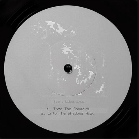 Into the Shadows album art