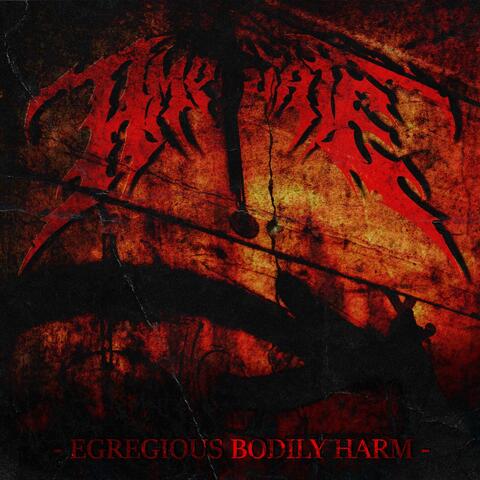 Egregious Bodily Harm album art