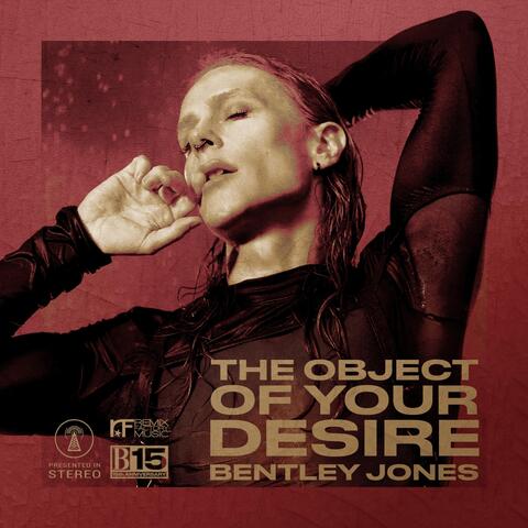 The Object of Your Desire album art