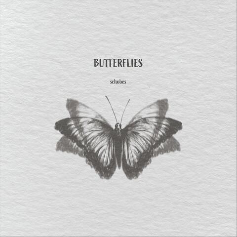 Butterflies album art