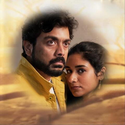 Paarvai Ondre Podhume (feat. Meera Iyer) album art