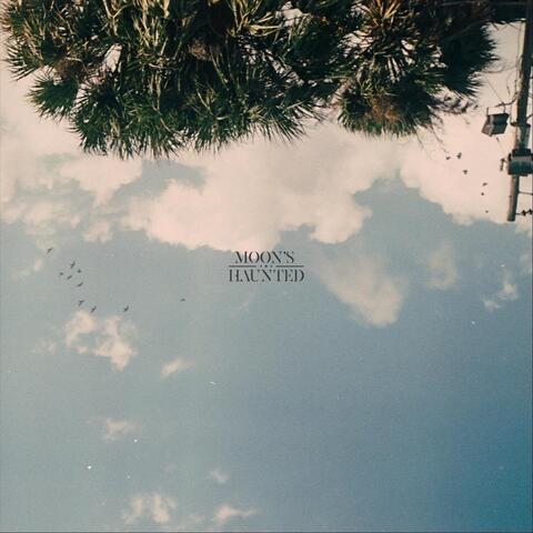 Day of Birds album art