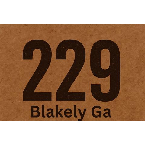 229 (Blakely Ga) [feat. Ac'cel & Manikan Fly] album art