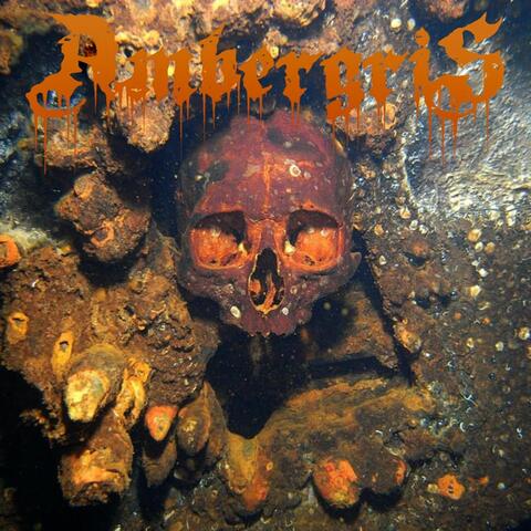 Getting Rich off Whale Vomit (Live) album art