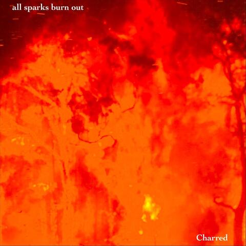 Charred album art