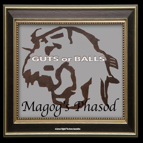 Guts or Balls album art