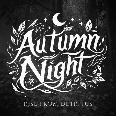 Rise from Detritus album art