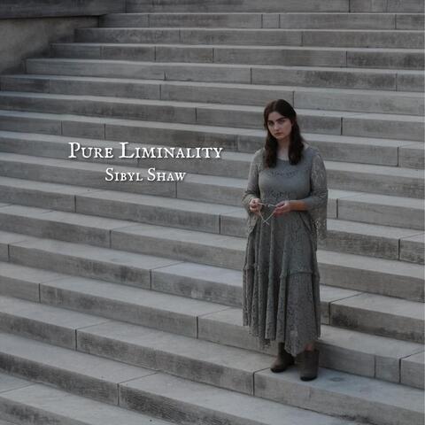 Pure Liminality album art