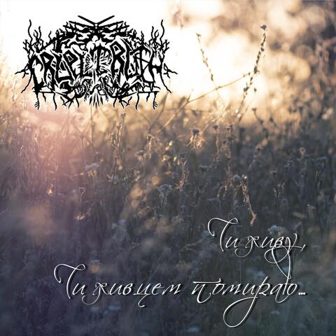 Чи Живу, Чи Живцем Помираю ... album art