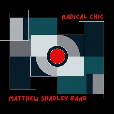 Radical Chic album art
