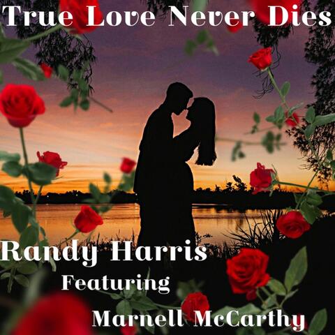 True Love Never Dies (feat. Marnell McCarthy) album art