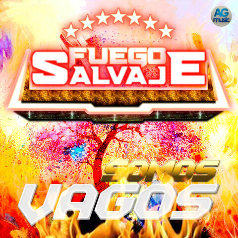 Somos Vagos album art