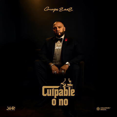 Culpable O No album art