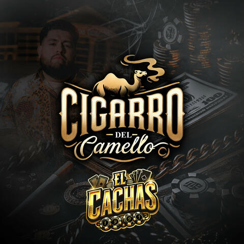 Cigarro Del Camello album art