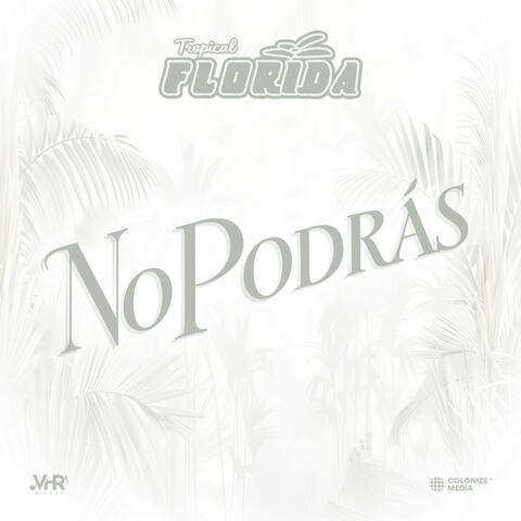 No Podrás album art