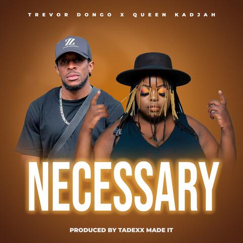 Necessary album art
